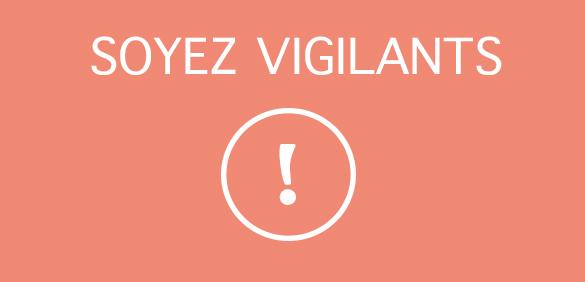 Vigilance - Tentatives de fraude et de corruption